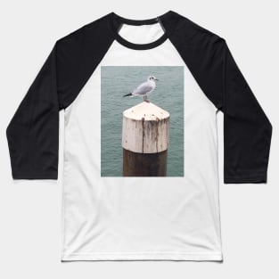 Seagulls by the Sea searching for Fish and Chips Baseball T-Shirt